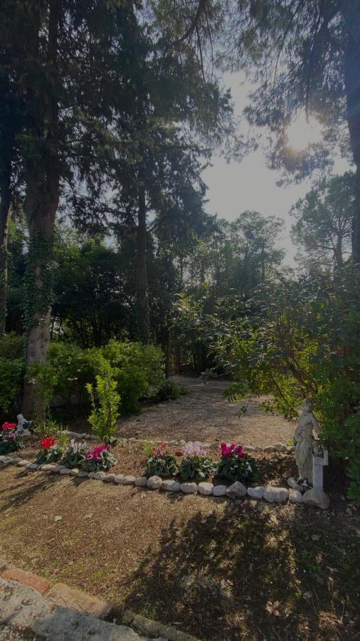 Hotel Casal Camillo Case Selva Grande Zewnętrze zdjęcie